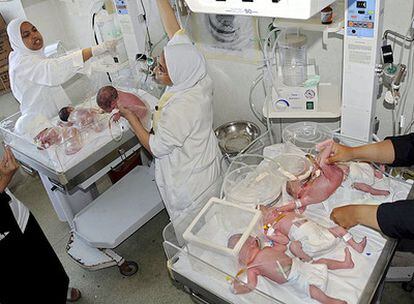 Las enfermeras atienden a los cuatro niños y tres niñas que nacieron en un hospital de Alejandría