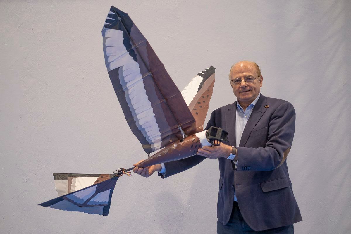 Aníbal Ollero: “Nossas aves robóticas estarão à venda nas lojas dentro de alguns anos” |  Tecnologia