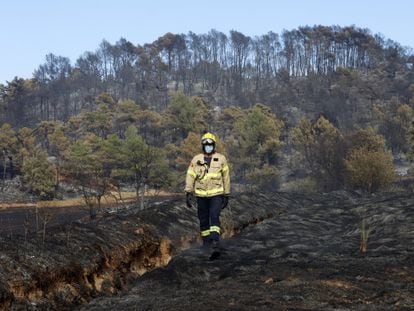 Un bombero estudia el terreno en Santa Coloma de Queralt (Tarragona), donde un incendió devastó en verano de 2021  más de 1.500 hectáreas.