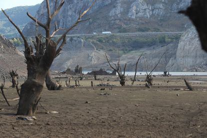 La situación ha obligado a cortar el riego en agosto, el campo leonés teme perder la cosecha.