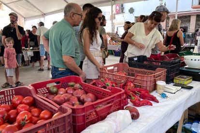 Feria de Hortalizas antiguas e intercambio de semillas en Nigüelas (Granada) el pasado 11 de septiembre.