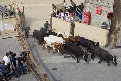 El equipo de filmación rueda la salida de los toros de los corrales de Santo Domingo.