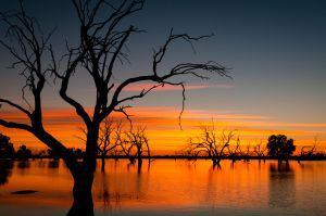 Atardecer en el lago Pinaroo, en el parque nacional de Sturt, en Australia.