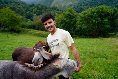 Rodrigo Cuevas, con sus burras 'Faraona' y 'Xuana', en Caperea (Asturias), el pasado julio.
