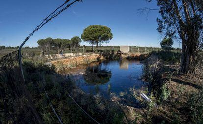 Esta balsa ilegal lleva una década ilustrando reportajes sobre el robo de agua en Doñana. Y sigue sin eliminarse.
