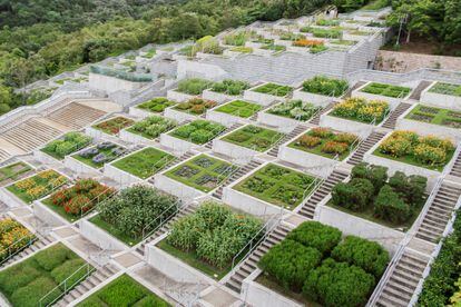 Jardines florales y botánicos diseñados por Tadao Ando.