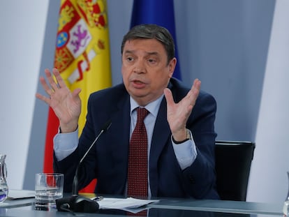 El ministro e Agricultura, Luis Planas durante una rueda de prensa posterior a la reunión del Consejo de Ministros.