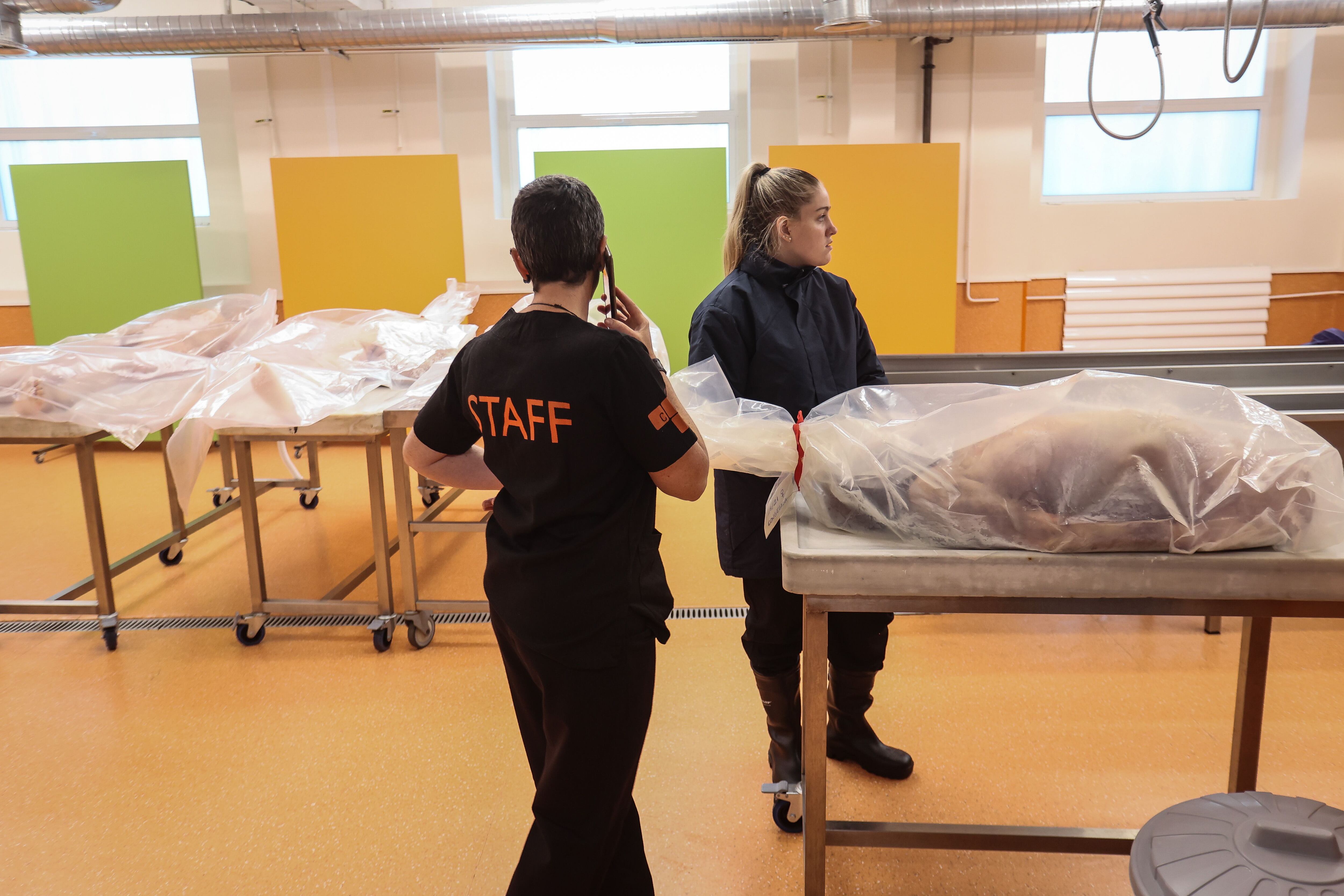 Los técnicos del centro de donación trasladan un cuerpo al que hay que cortar las extremidades.