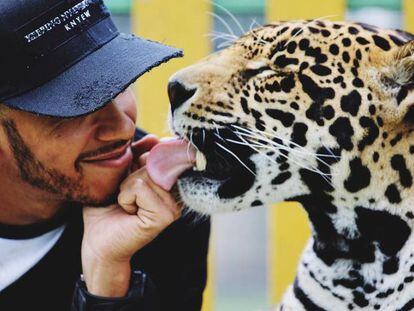 Lewis Hamilton con un tigre en la fundaci&oacute;n mexicana Black Jaguar-White Tiger. 