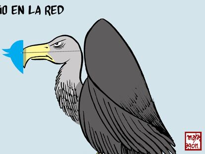 Odio en Twitter, por Malagón