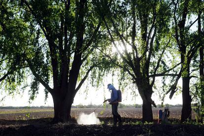 Un trabajador fumiga con glifosato para la maleza en un campo de Córdoba, Argentina.