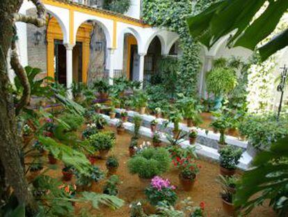 Patio de la casa de la Marquesa de Tenorio, en el barrio de Santa Cruz de Sevilla.