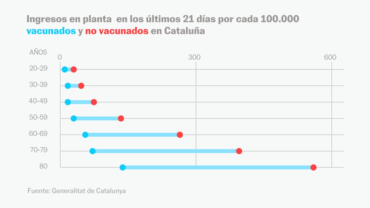 elpais.com