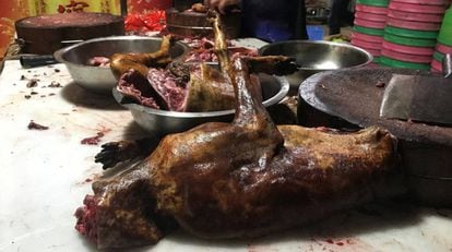 Animales cocinados en un restaurante de Yulin.