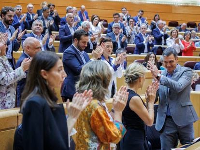 El presidente del Gobierno, Pedro Sánchez, aplaudido por la bancada socialista del Senado, este martes.