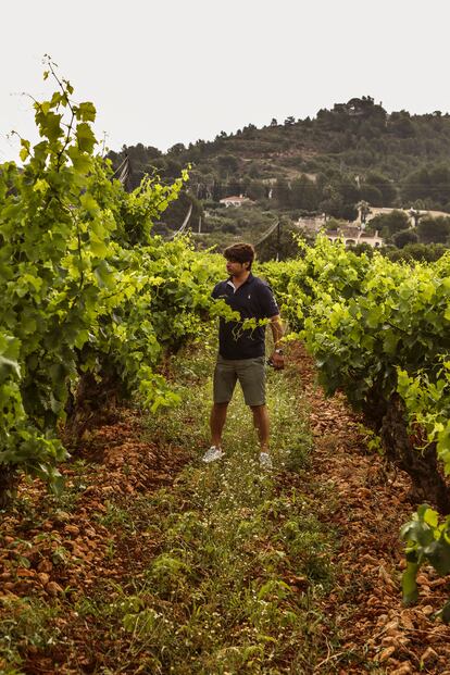 Joan Abril en una viña de la Casa Agrícola de Pepe Mendoza.