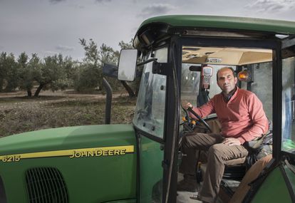 El agricultor Miguel Ángel Ramiro en su olivar de Jaén. 