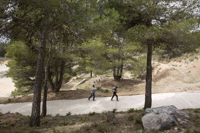 Senda del parque natural de las Sierras de Tejeda, Almijara y Alhama (Málaga).