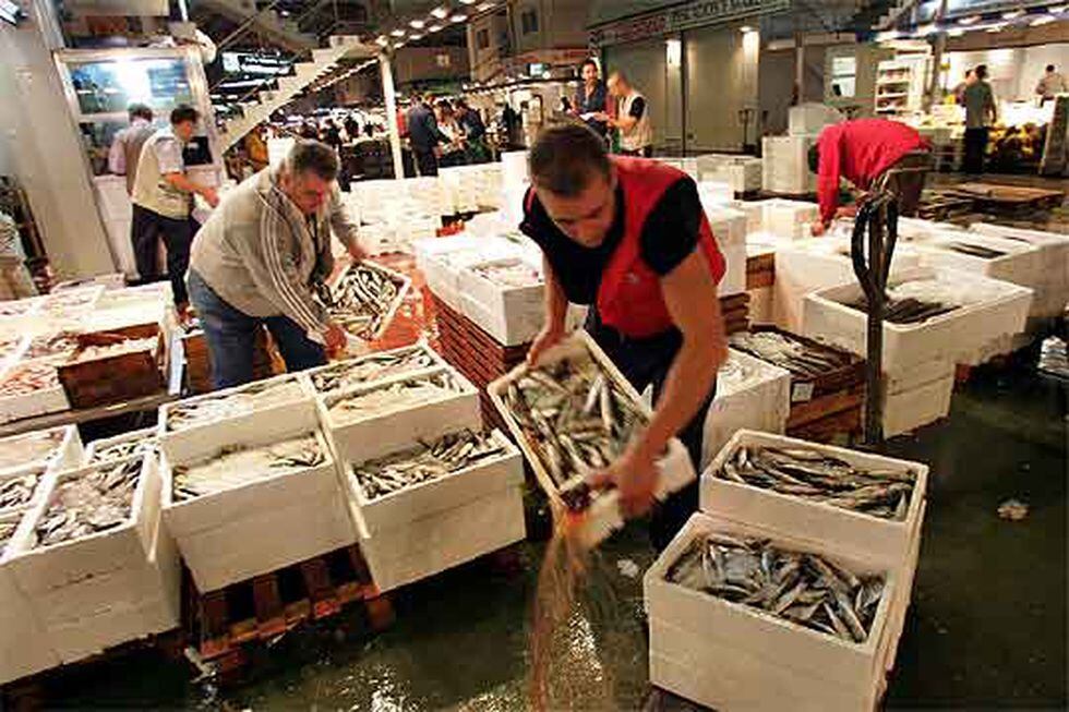 Comerciantes de pescado de Mercamadrid Madrid EL PAÍS Comerciantes de pescado de Mercamadrid Madrid EL PAÍS