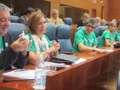 Bancada de IU con camisetas de la &#039;marea verde&#039;.