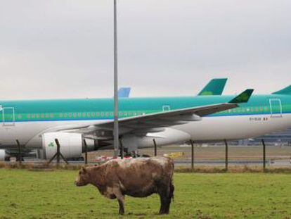 Imagen de un avi&oacute;n de Aer Lingus en el aeropuerto de Dubl&iacute;n.