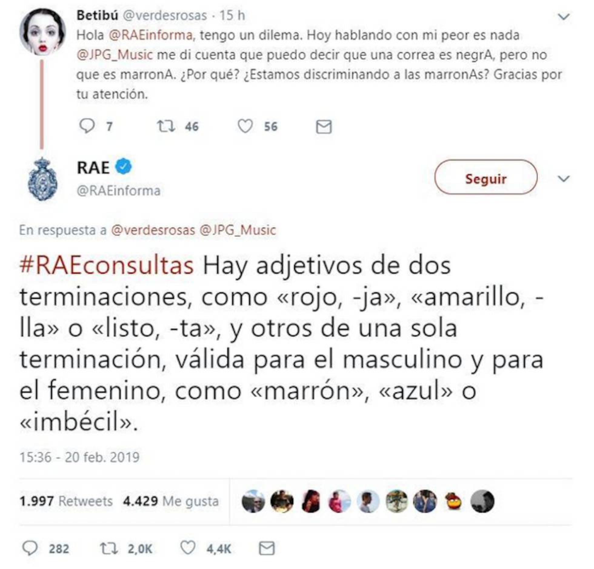 Conocé las últimas palabras que la RAE sumó al diccionario