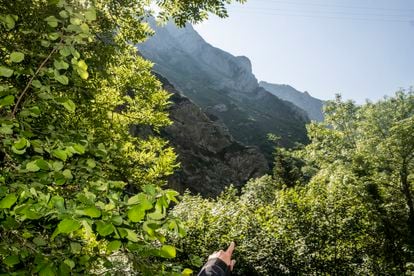 Una mujer señana el punto del monte donde se encuentran los osos pardos, en Somiedo (Asturias).
