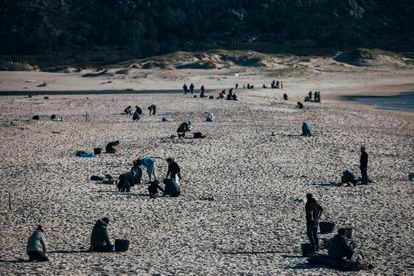 Un grupo de voluntarios, organizado a través de WhatsApp, este sábado en la playa de Area Maior, en Muros (A Coruña). 