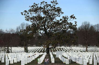 El cementerio de Arlington (Virginia), donde est&aacute;n enterrados militares ca&iacute;dos en las guerras de Irak y Afganist&aacute;n.