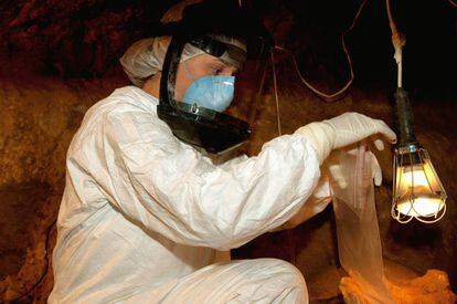 Toma de muestras en la cueva de El Sidrón, en Asturias.