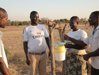 Agricultores contra la enésima plaga de Malawi