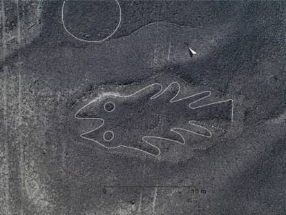 Imagen en alta resolución de un geoglifo en forma de pez.