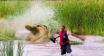El estudio californiano Luma Pictures recreó con Realflow las violentas salpicaduras de agua provocadas por los movimientos de un voraz reptil en la película Primeval (2007).