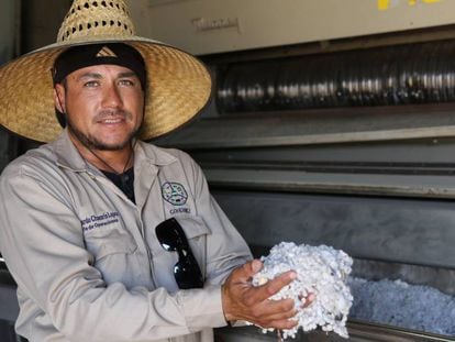 Trabajador en fábrica de algodón en México.