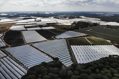 Red fruit greenhouses in Lucena del Puerto, Huelva.