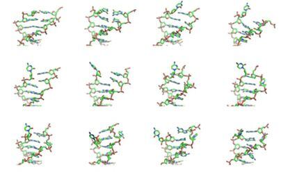 Simulación por ordenador, en alta resolución, de algunos pasos del proceso de despliegue del ADN.