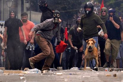 <i>Lukánikos</i> se ha convertido en uno de los protagonistas de las manifestaciones en Atenas. El can, que vive en la plaza dónde se realizan la mayoría de las protestas, y que está al cuidado del ayuntamiento ateniense, se pone en todas las protestas de parte de los manifestantes.