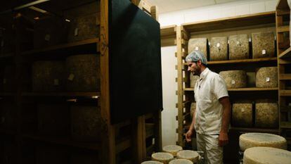 Rubén Valbuena en una sala de afinado de quesos en la granja Cantagrullas, en Ramiro, Valladolid. 
