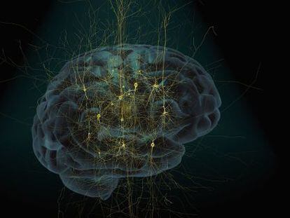 Simulación de un cerebro humano y una red neuronal.