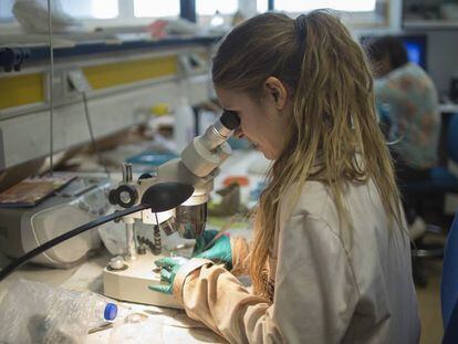 Una investigadora en un laboratorio de la Universidad de Jaen. 