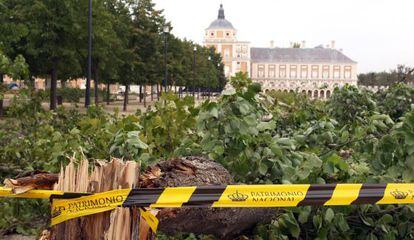 La tormenta del domingo caus&oacute; destrozos en el arbolado del Palacio. 