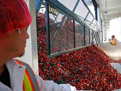 Un camión descarga chiles rojos en la fábrica de Huy Fong Foods, en Irwindale, California.