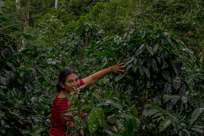 Ermila Izquierdo, farmer in the Alto Mayo Protected Forest and signatory of the conservation agreements.