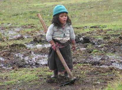 Una niña trabaja en el campo en Perú.