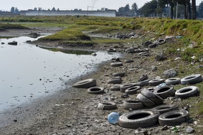 Contaminación en la Laguna de Palmillas, en la zona norte de Toluca (Estado de México), el 28 de abril de 2021.