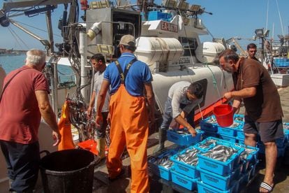El barco 'Playa Yerbabuena', beneficiario del vigente acuerdo de pesca entre la UE y Marruecos, a su llegada Barbate (Cádiz) en julio de 2019, tras faenar en aguas del Sáhara Occidental.