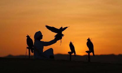 Una persona perteneciente a la tribu Qubaisi entrena halcones, en el desierto de Liwa (Emiratos Árabes Unidos).