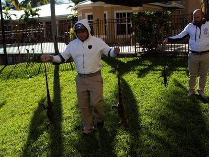Dos hombres desplazan a cuatro iguanas congeladas en Florida este viernes.