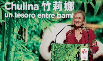 Cifuentes durante la presentaci&oacute;n en el Zoo de Madrid de Chulina. 