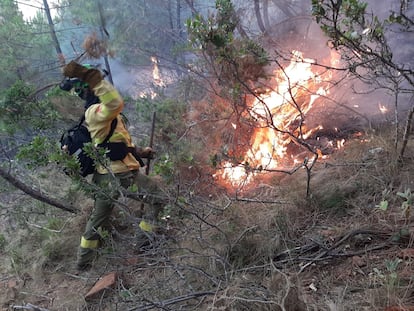 Un miembro de Infoca trabaja para apagar el fuego en Jubrique (Málaga).